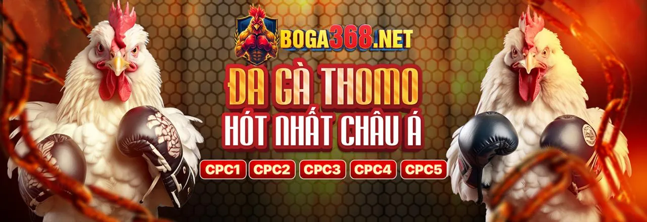 Tổng quan về đá gà trực tuyến New88